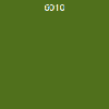 6010 6010