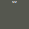 7005 7005